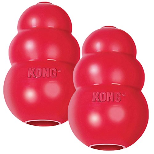 Kong dog chew toy mental stimulation long crate time boredome