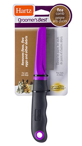 Flea comb to remove biting insects and treat bites on your dog