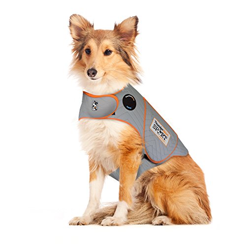 Thundershirt relieve anxiety help keep dog from pooping inside house