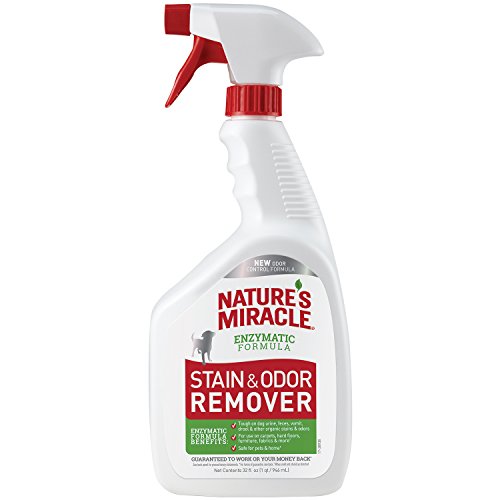 Nature's Miracle enzymatic stain odor remover help house train dog to poop outside