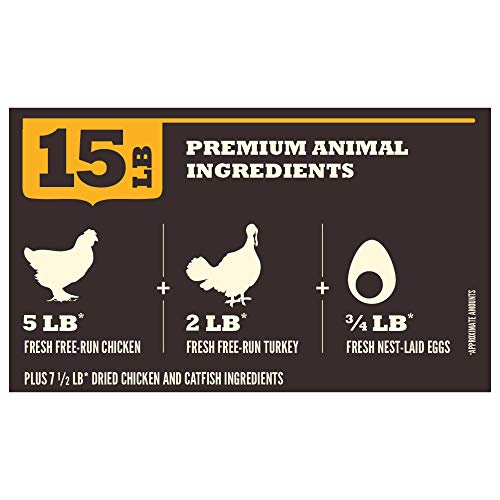 What to look for when choosing dry dog food quality animal ingredients