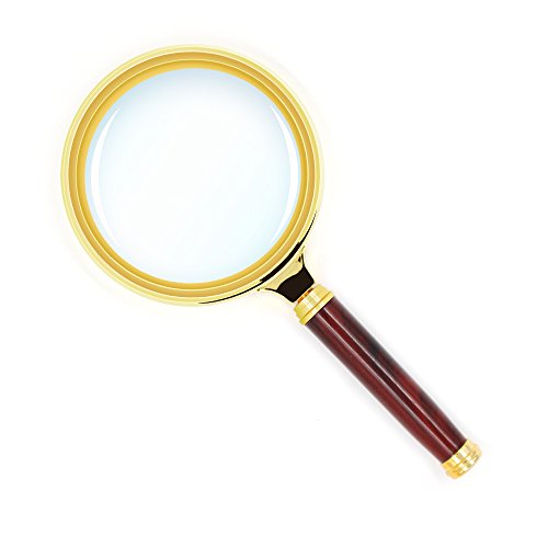 How to identify flea infestation magnifying glass to see eggs and larva