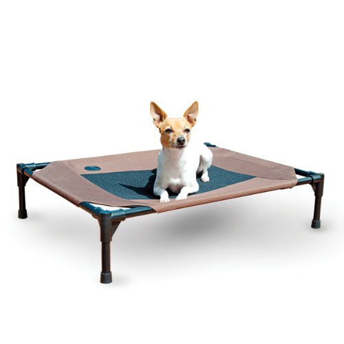 elevated dog bed keep pet away from dirt bugs cold ground