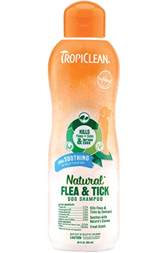 Natural flea tick dog shampoo prevent flea bites treatment