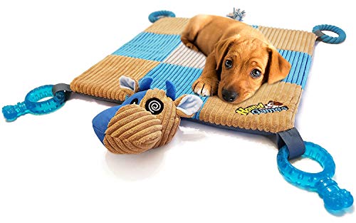 Dog play mat settle down training exercise to calm excited puppy