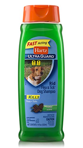 Hartr Ultra Guard flea tick shampoo when does it kill fleas and for how long