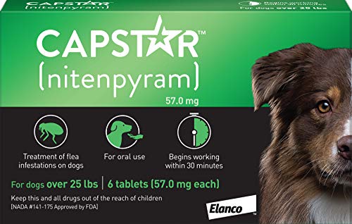 Capstra nitenpyram dog oral medication treatment how long until effective 30 minutes