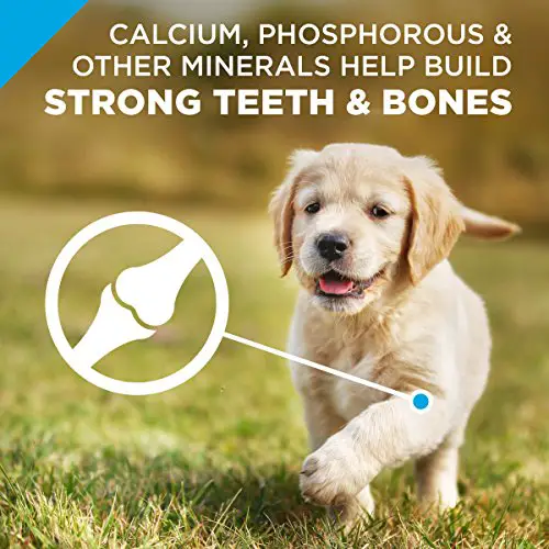 Purina Pro Plan Chicken Formula puppy food calcium phosphorous minerals teeth bones