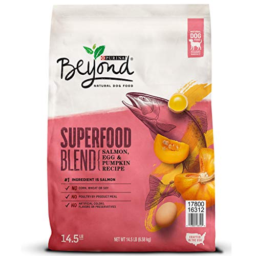 Purina Beyond x factor availability choices which dog food is better best