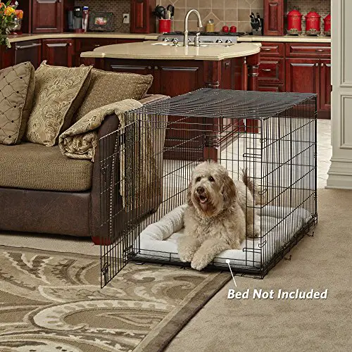 Where should you place dog crate for comfortable dog experience quiet calm