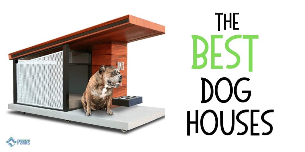 Best Outdoor Dog Houses for Large, Medium, and Small Dogs in Any Weather