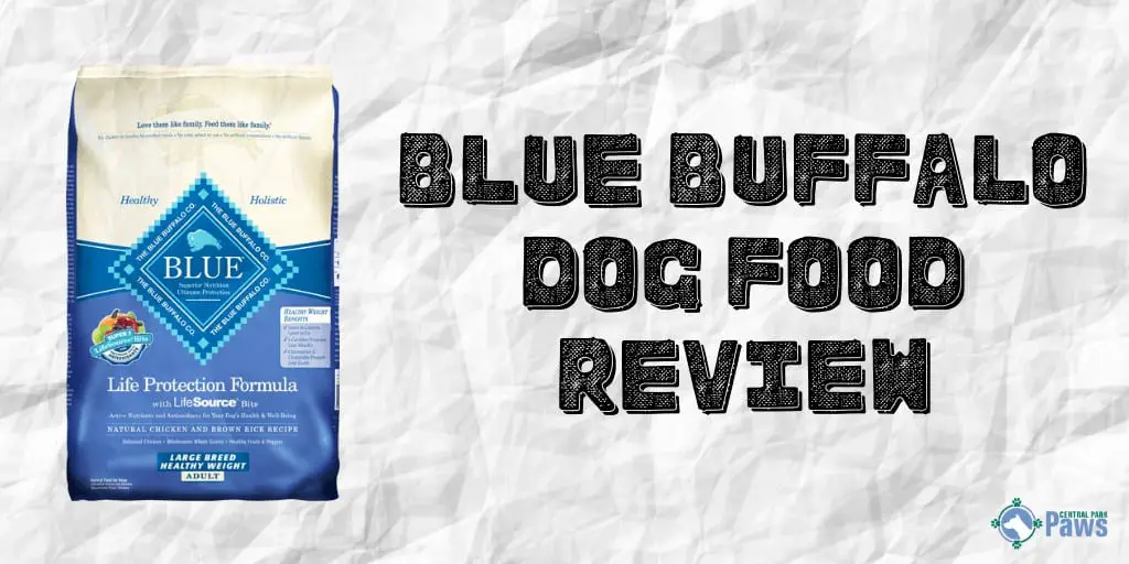 Blue Buffalo dry Dog Food Review