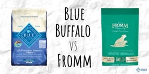 Blue Buffalo vs Fromm Dry Dog Food Review