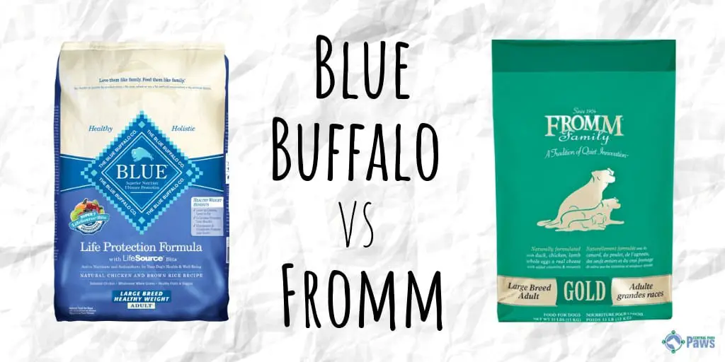 Blue Buffalo vs Fromm Dry Dog Food Review