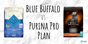 Blue Buffalo vs Purina Pro Plan Dry Dog Food Review