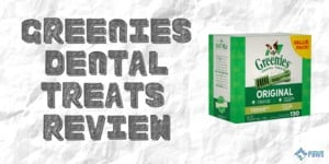 Greenies Dental Treats for Dogs Review