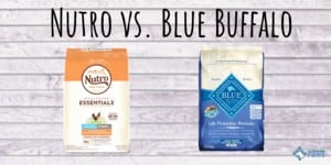 Nutro vs Blue Buffalo Dog Food Review