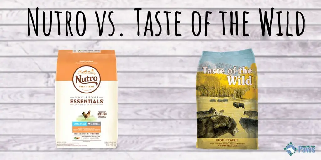 Nutro vs Taste of the Wild Dog Food Review