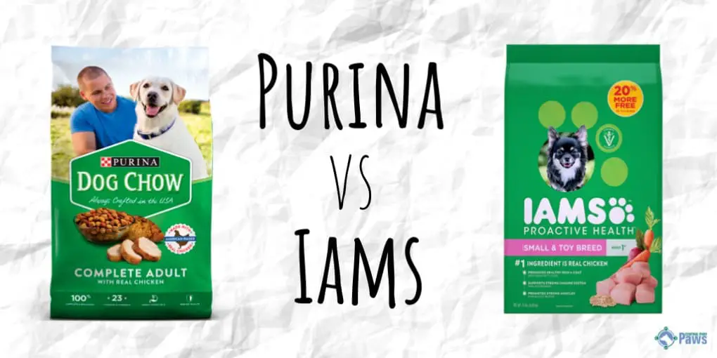 Purina Vs IAMS Why Are Vets Mainstream Dog Foods?