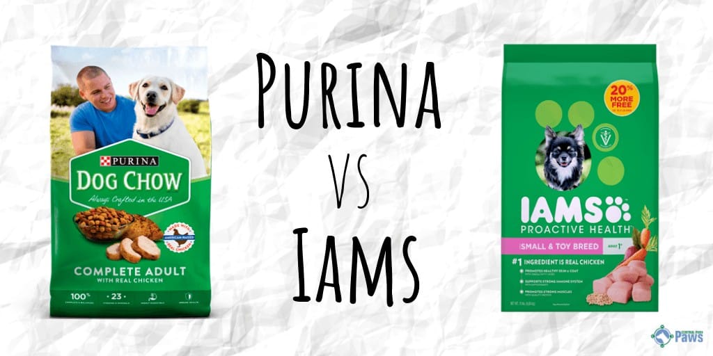 Purina vs Iams Dry Dog Food Review