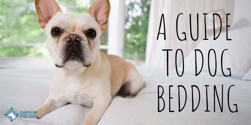 What Can I Use for Bedding in My Dog_ How to Keep Your Dog Comfortable
