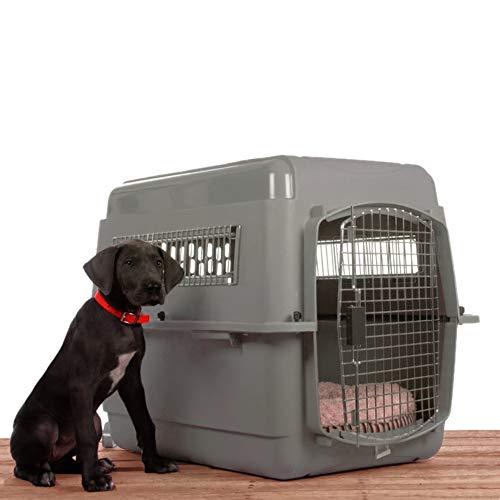 Plastic dog kennel advantages disadvantages good for travel permanent use