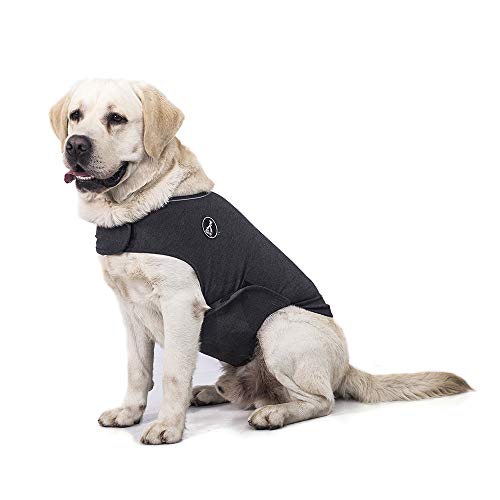 Anxiety vest to calm dogs prevent stop peeing on bed