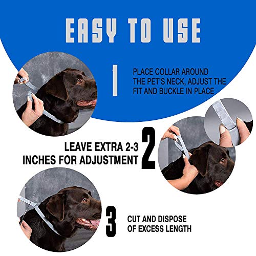 How to use flea collar how tight around dog neck leave two fingers