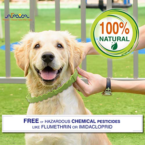 100% natural collar safe for dogs hazardous chemical pesticide free