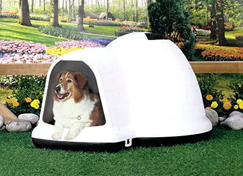 Should my dog have an outdoor dog crate kennel house home protection weather