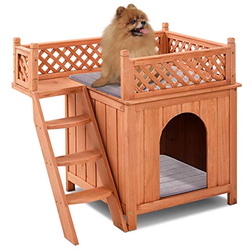 How to choose best dog house size for my small medium large pet puppy