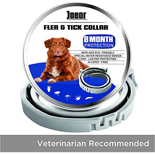 Joeor flea tick collar 8 month protection safe eco friendly long lasting