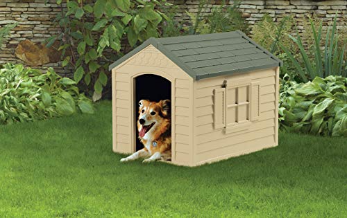 Cheap yet good dog house for budget minded pet owners inexpensive durable