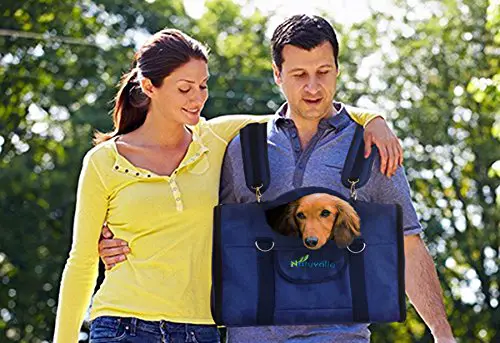 Carry dog on chest backpacking hiking camping outdoors bring pet outside