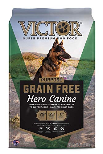 Best Dog Food for Younger Dogs with Joint Issues