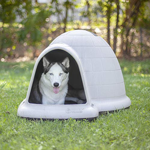 Dog igloo bacteria resistant easy to clean durable long lasting survive outdoor weather