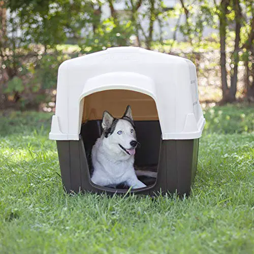 Why give my dog a dog house should pet canine have outdoor home protection