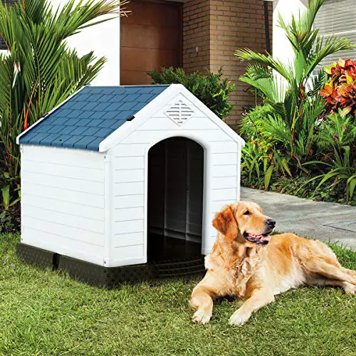 Shed dog house practical utilitarian effective design to keep dogs safe and dry