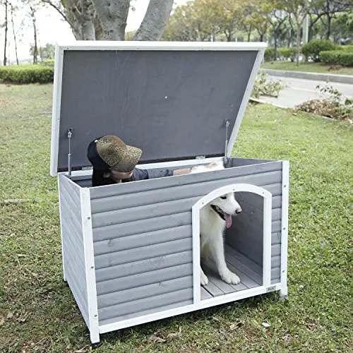 Dog house with removable liftable roof for easy cleaning airing out after wet