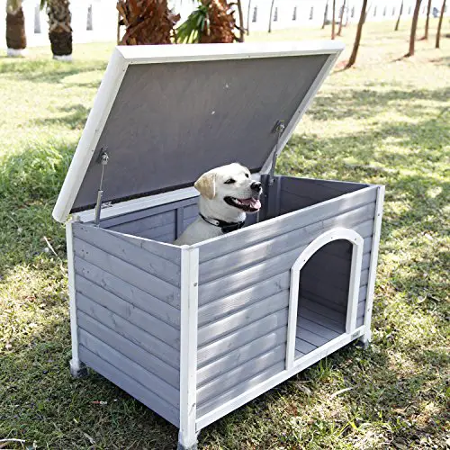 Where to put best place for dog house outdoors in shade where dog likes to lay down