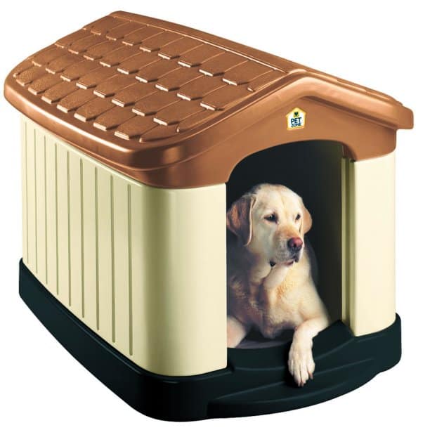 where can i buy a dog house near me