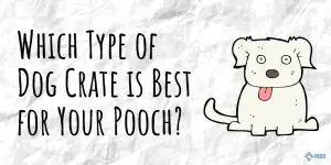 Which Type of Dog Crate is Best for Your Pooch