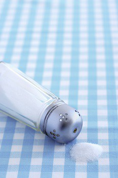 salt desiccant hydroscopic insecticide dehydrates fleas kills adults