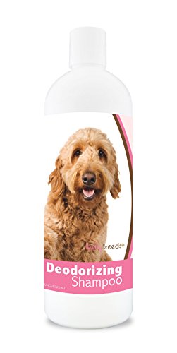 Goldendoodle deodorizing shampoo bad odor frequent dog bath