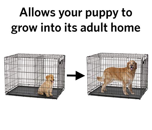 dog crate divider with hole