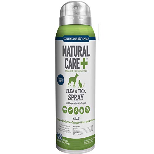 Best natural flea control spray tick safe for dogs cats peppermint essential oils