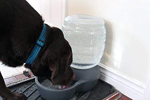 Can you give essential oils to dog in water dish danger efficacy