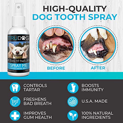 High quality dog tooth spray fight tartar freshen breath boost immunity gum health