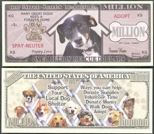 Dog play money toy price of food ingredients what to look for when choosing