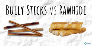 Bully Sticks vs Rawhide_ Which is the Best Dog Chew